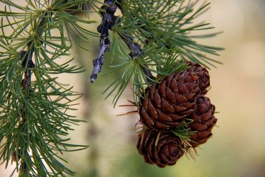 Similar image 6304455