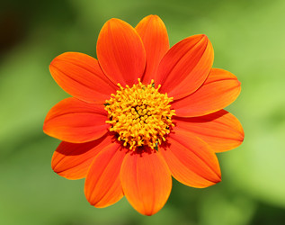 Similar image 6304459