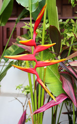 Similar image 6304461