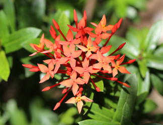 Similar image 6304464