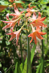 Similar image 6304465