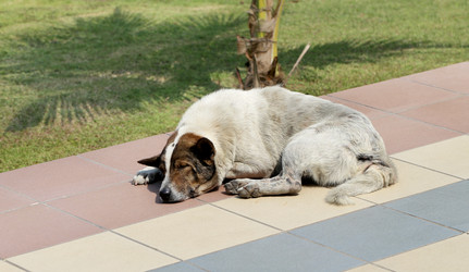 Similar image 6304468