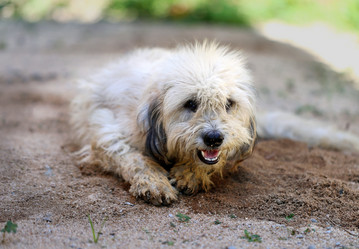 Similar image 6304469