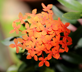 Similar image 6304471