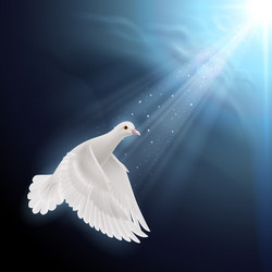 Similar image 6304478