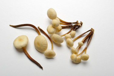 Similar image 6304482