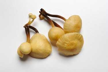 Similar image 6304483