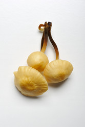 Similar image 6304485