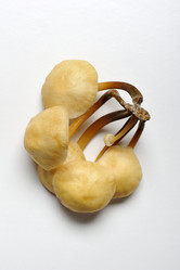 Similar image 6304486