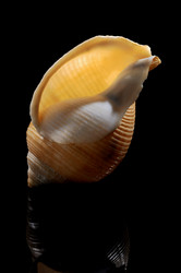 Similar image 6304491