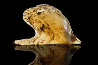 Similar image 6304493