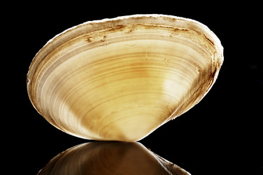 Similar image 6304494