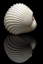 Similar image 6304495