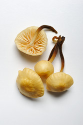 Similar image 6304497