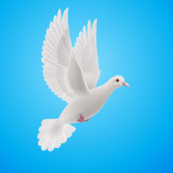 Similar image 6304508