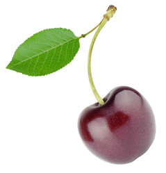 Similar image 6304785