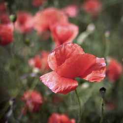 Similar image 6304879