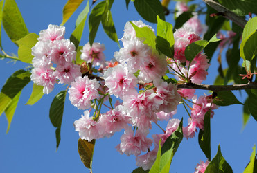 Similar image 6304883