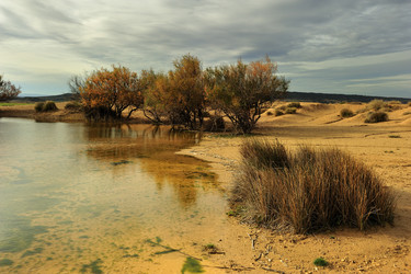 Similar image 6304892