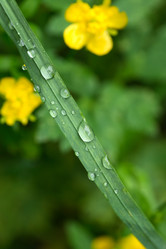 Similar image 6304903