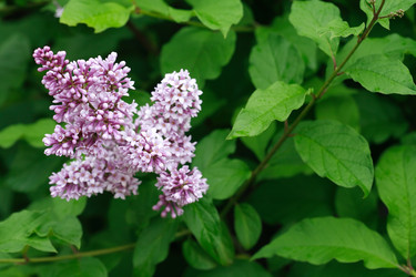 Similar image 6304904