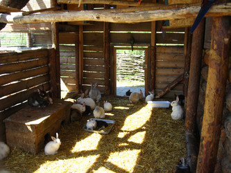 Similar image 6304919