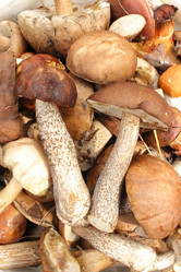 Similar image 6304920