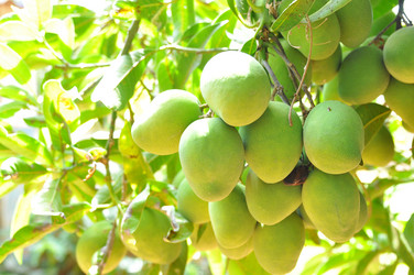 Similar image 6304947