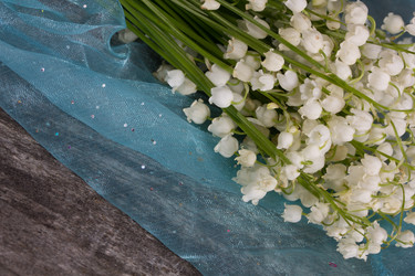 Similar image 6304965