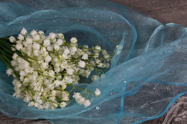 Similar image 6304966