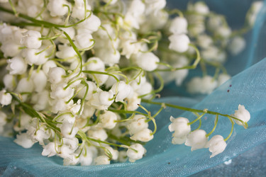 Similar image 6304967