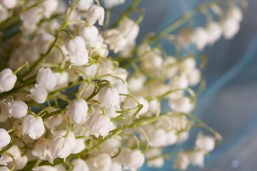 Similar image 6304968