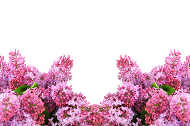 Similar image 6305023