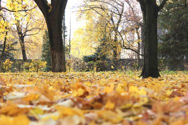 Similar image 6305046