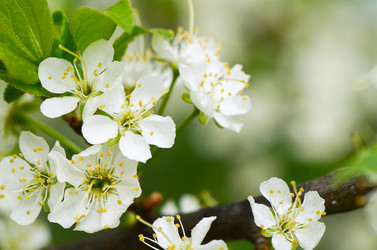 Similar image 6305053