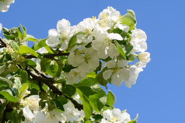 Similar image 6305060