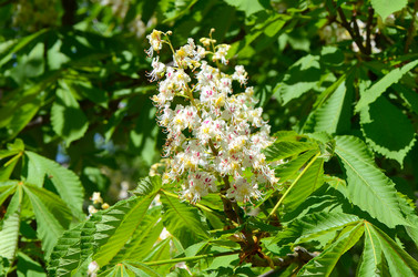 Similar image 6305064