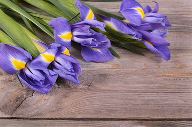 Similar image 6305076