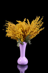 Similar image 6305083