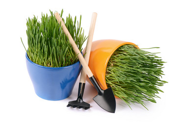 Similar image 6305084