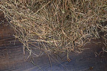 Similar image 6305088