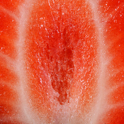 Similar image 6305142