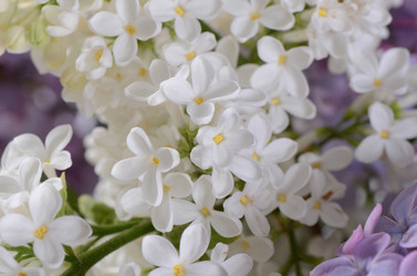 Similar image 6305163