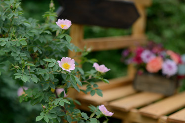 Similar image 6305229