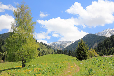 Similar image 6305390