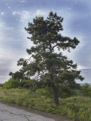 Similar image 6305394