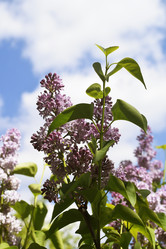 Similar image 6305397