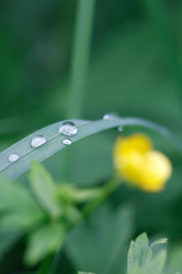 Similar image 6305420