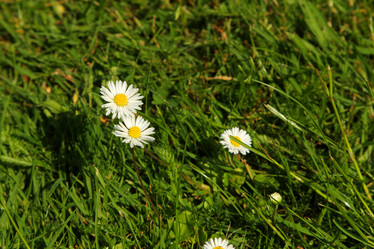 Similar image 6305439