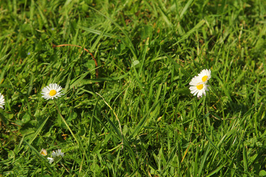 Similar image 6305446